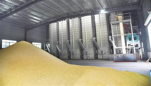 ���ē���:�Zʳ��əC(j��)�F(xi��n)��l(f��)չǰ��