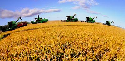 ������r(n��ng)�C(j��)�R��ȫ�_ �C(j��)е�ի@�ն�߀���������� m.dgjunlin.com