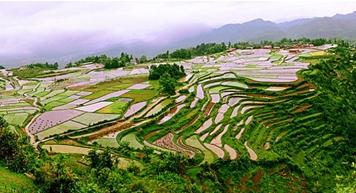 ����ɽ�^(q��)�r(n��ng)�C(j��)���l(f��)չ��(w��n)�}���������h m.dgjunlin.com