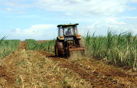 �r(n��ng)�C(j��)��(z��i)���ؽ� m.dgjunlin.com