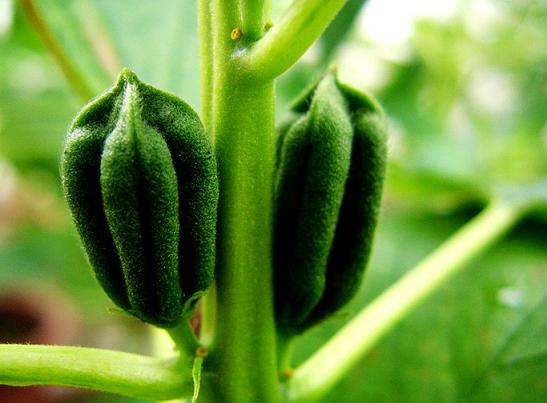 ֥�����a(ch��n)�Cе���̶�ƫ�� m.dgjunlin.com